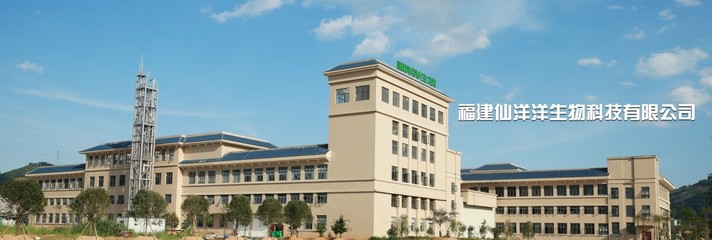 福建仙洋洋生物科技 深耕生物科技研發，引領健康產業未來